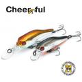 Pontoon21 Cheerful 34F-MR
