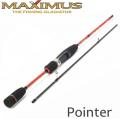 Pointer (Rock Fish)