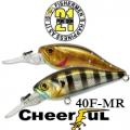 Pontoon21 Cheerful 40F-MR/SP