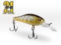 Pontoon21 Cheerful 40SP-MR