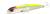 Воблер Fishycat Tigercub 170F R06