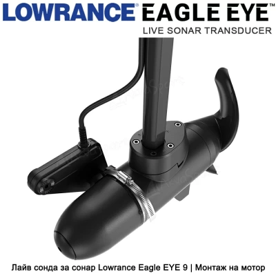 Эхолот Lowrance Eagle EYE 9 с датчиком Live Sonar