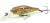 Воблер Pontoon21 Cheerful 40SP-MR 729