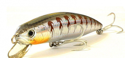 Воблер Fishycat Tigercub 205F X05