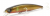 Воблер Fishycat Tigercub 170F R04